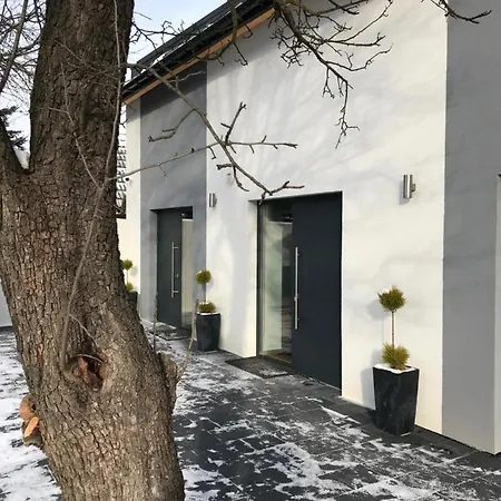 Szeregowy Nr1 Apartament Tylmanowa